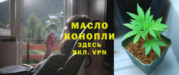 гидра Алексин