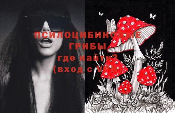 круглые Алзамай