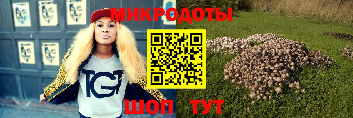 Черкесск  Псилоцибиновые грибы Cubensis  Вход с VPN 